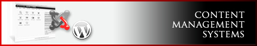 vPowerWeb-Services- CMS