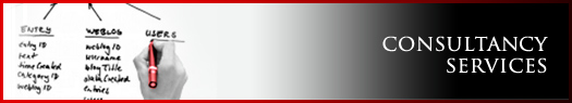 vPowerWeb-Services- Consultancy Services