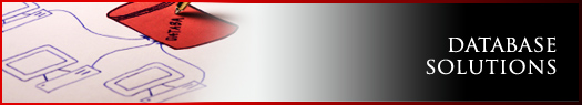 vPowerWeb-Services- Database Solutions