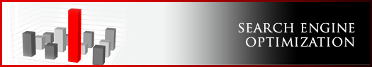 vPowerWeb-Services- Search  Engine Optimization
