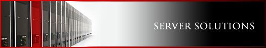 vPowerWeb-Services- Server Solutions