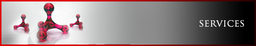 vPowerWeb-Services