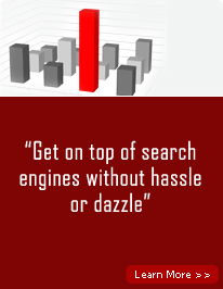 Search Engine Optimization